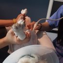 옥길아라동물의료센터 이미지