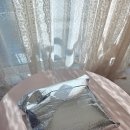 아이엠그릭 | 찐으로 반한 창원떡집 '아이엠떡' 디저트맛집 추천