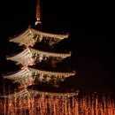 백제문화로 | 불꽃이 비처럼 쏟아져 백제문화단지 낙화놀이 후기