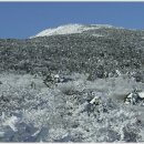 특별 산행 (12월25일~27일 2박3일)송년 한라산 눈꽃 산행및 영실코스 마라도 관광 이미지