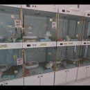 펫아미 강아지분양 고양이분양 동탄점 이미지