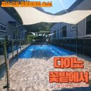 다이노 꽃밭에서 이미지