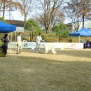 시골축산 이미지