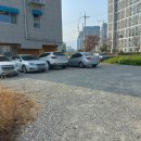 티코커피숍 이미지
