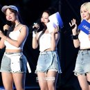 시그니처 이미지