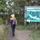 강릉힐링하우스