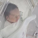 리베르 여성 병원 제왕절개 후기 5~6일 차