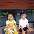 아쿠아플라넷63 이미지