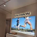 세이백화점 앞 | 살로몬 모디세이에어로 사이즈팁, 디자인, 색상 실착용 구매후기