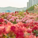 골드렌트 이미지