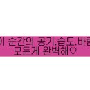프리퍼미웨딩뷰티 - 구로구 항동로3길 4 | 프리퍼미웨딩뷰티