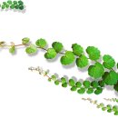 넓은세상 이미지