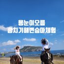 아이들과 제주도 한달살기 26일차 ㅣ 제주 용눈이오름 억새 풍경, 아이와 오름 등반 + 광치기해변 승마체험