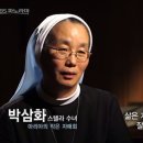 (주)스파크펫 이미지