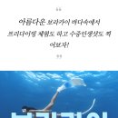 오라보라 이미지
