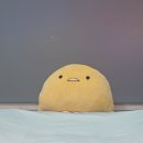 헤이유(Hey.U) 네이버블로그