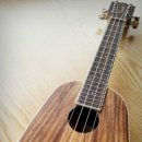 [마을배움터] 우쿨렐레 이미지