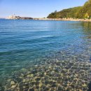 초곡민박 이미지