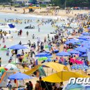 강원 오토바이 이미지
