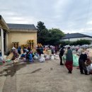 제주감귤농업협동조합안덕지점 이미지