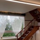 스테이더문 이미지