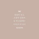 리본 에스테틱(Re:born)