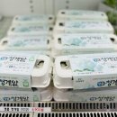 홍성 청계닭 농장