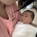 송파건강증진센터 | [출산] 송파구 임산부 최고의 복지, 송파산모건강증진센터 이용 후기