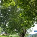 안내초 용촌분교 이미지