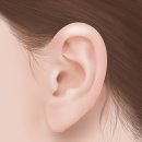 최이비인후과의원 이미지