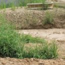 당목리목장 이미지