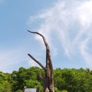 신도농업협동조합 이미지