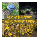 해피1태양광발전소 | 전원주택 봄꽃들이 피기 시작했어요. 태양광 정원등 구매, 설치 후기
