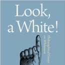 Why Whiteness Is Invisible-Philosophical Essays on Whiteness 이미지