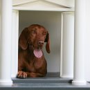 개편한 세상 이미지