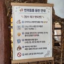카페바나나 함덕점 애견 동반 가능한 제주<b>함덕</b><b>카페</b> 1938 <b>함덕</b>차관