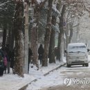 자동적설관측시스템 이미지