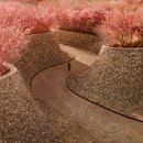 디자인싱 이미지