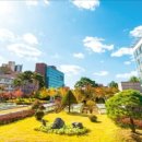 서강대학교 이미지