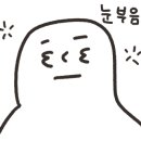 초평밤나무 네이버블로그