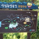 미숭산자연휴양림 이미지