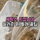 진세탁소 | 흰 양말 찌든 때 세탁소 사장님 비법으로 손빨래 없이 해결한 후기 (feat. 황변 얼룩)