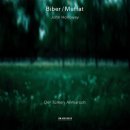 Biber: Violin Sonata No. 1 in A Major, C. 138 이미지