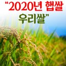 금일농산