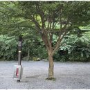 영월가자 펜션&캠핑장 이미지