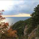 태하 모노레일 이미지