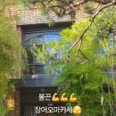 내돈내산#힘이불끈#장어오마카세