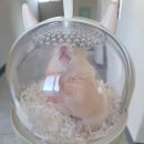 이앤박동물병원 이미지