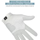 피23 | [골프] 라조시 버디그립 가성비골프장갑, 땀에 강한 실리콘반양피골프장갑 협찬 후기
