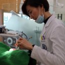 고은덴탈 이미지